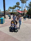 Matching familia mickeys